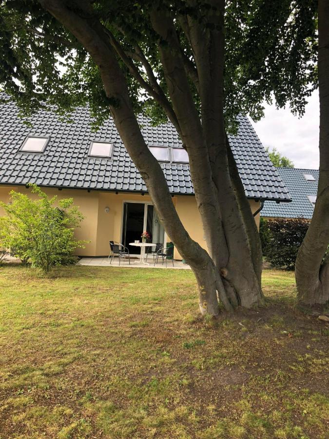 Ferienwohnung 'Bei Den Buchen' Zempin Eksteriør billede